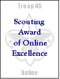 Scouting Award of Online Excellence