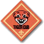 Tiger Scout Patch