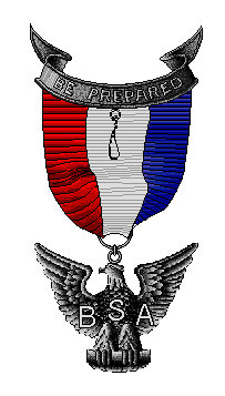 Grafic Image of the Eagle Scout Pin GIF