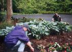 Dan Morris & Will Talbert plants flowers around Jack Nicklaus' House!