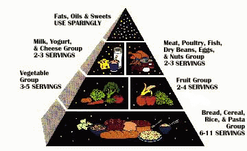 Food Pyramid