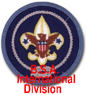 BSA International Division